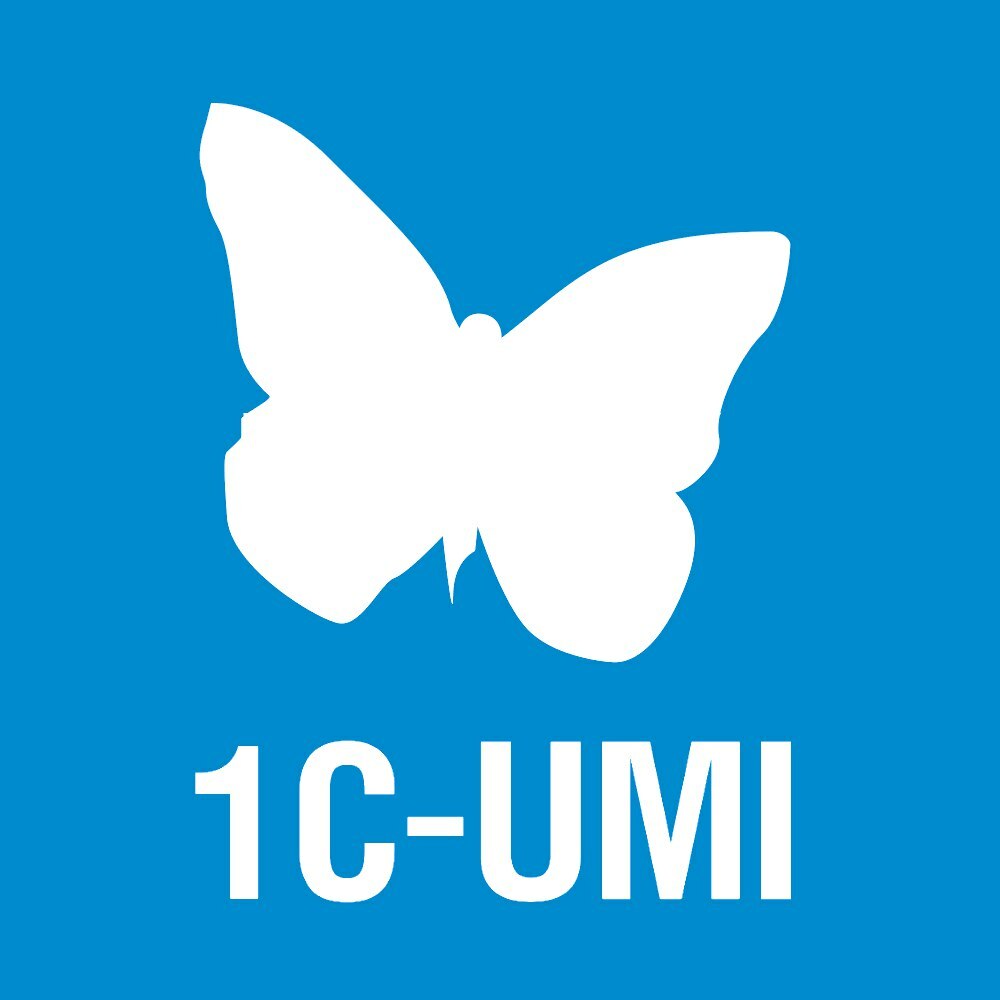 Сертификат 1С-UMI: Сайт за вас на тарифе "Лендинг"